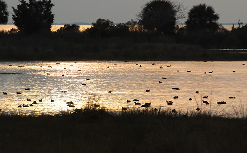 IMG_3560 by gary_leavens, Sunset at Lighthouse pond #miscgallery