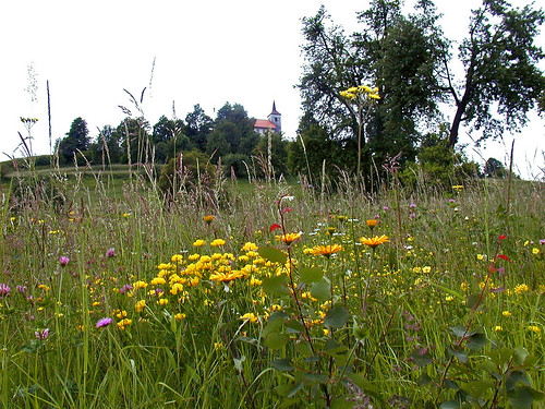 slovenija slovenia dolenjska svlovrenc church flowers