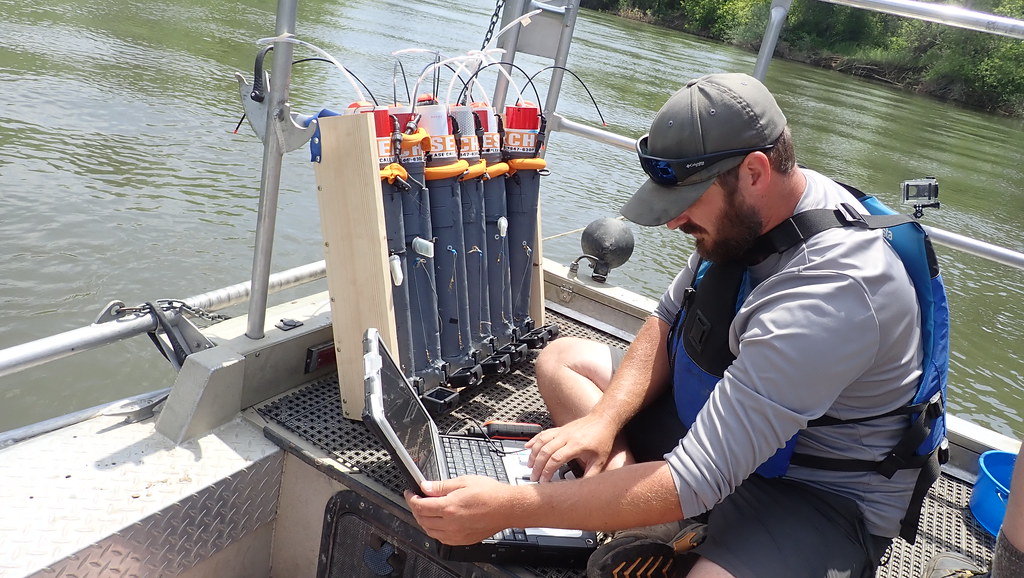 Fisheries Consultants | FISHBIO: Fisheries research, monitoring, and ...