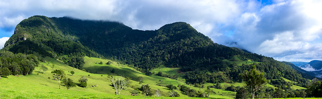 Lush Rainforest and Mt Hobwee Shrouded in Clouds at the Headwaters of the Nerang River Valley