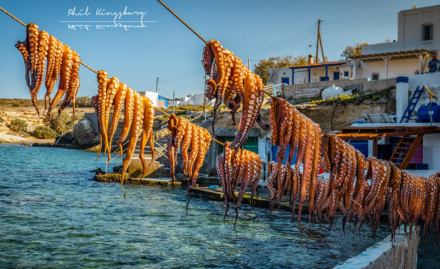 Octopus for dinner tonight! Firopotamos fishing village, Milos, Greek Islands