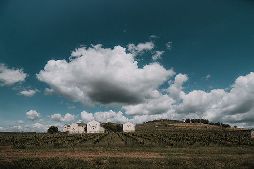 disznoko tokaj magyarország landscape landscapes photography canon clouds cloud summer winery wideangle