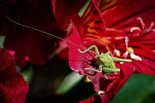 Flexible.. | by PascalRoger