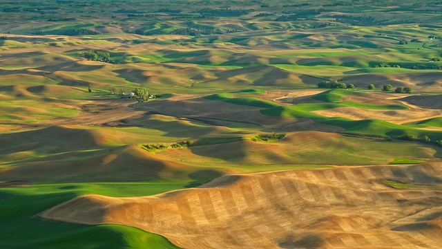 View from Steptoe Butte 5525 B