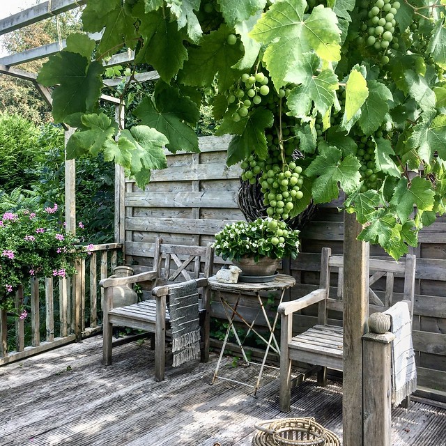 Houten stoelen landelijke tuin met vlonders