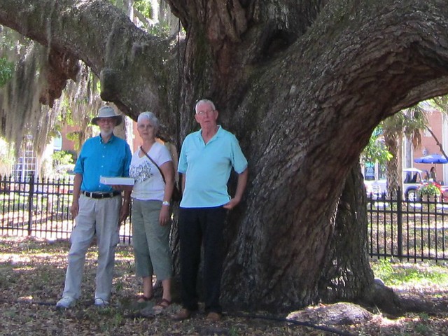 Oak Tree & Friends