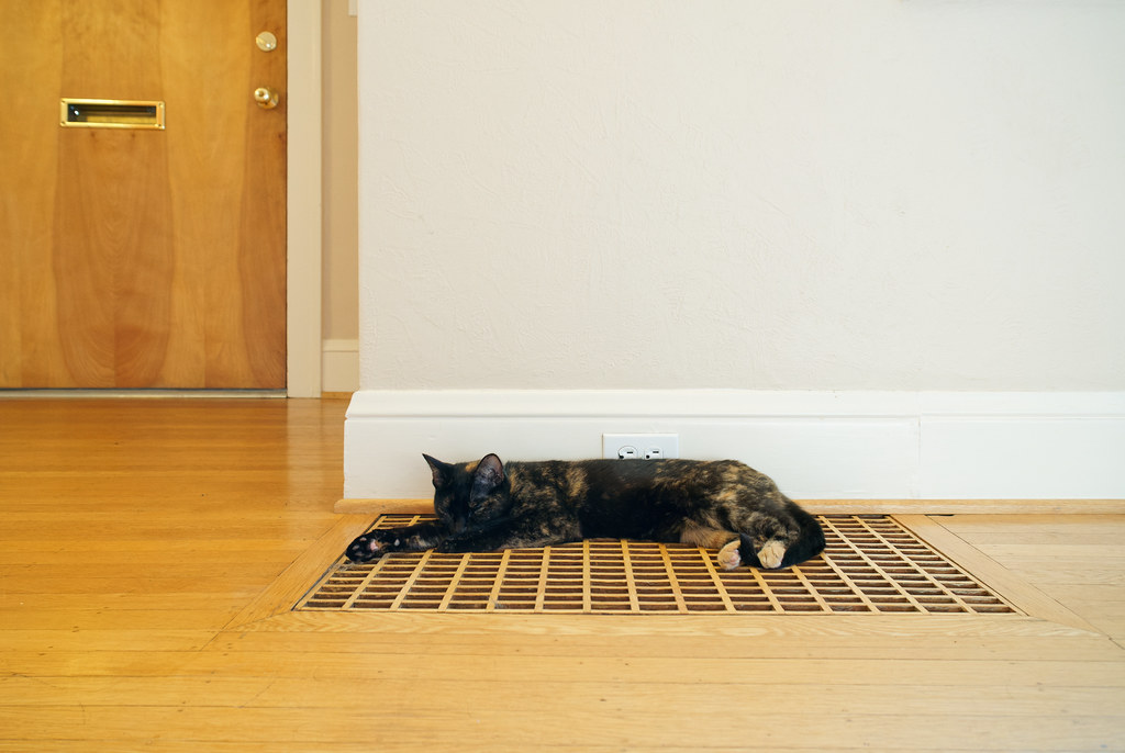 Our cat Trixie sleeps on the wooden heating grate in our house in Portland, Oregon on March 29, 2018. Original: _DSC4965.ARW