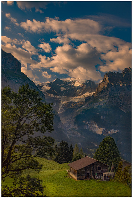 Summer sunrise on Grindelwald ,The Grosses Fiescherhorn and the Grindelwald-Fieschergletscher . ( Canton of Bern , Switzerland ). No. 30.