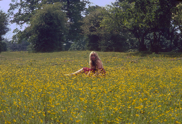 M in the buttercups