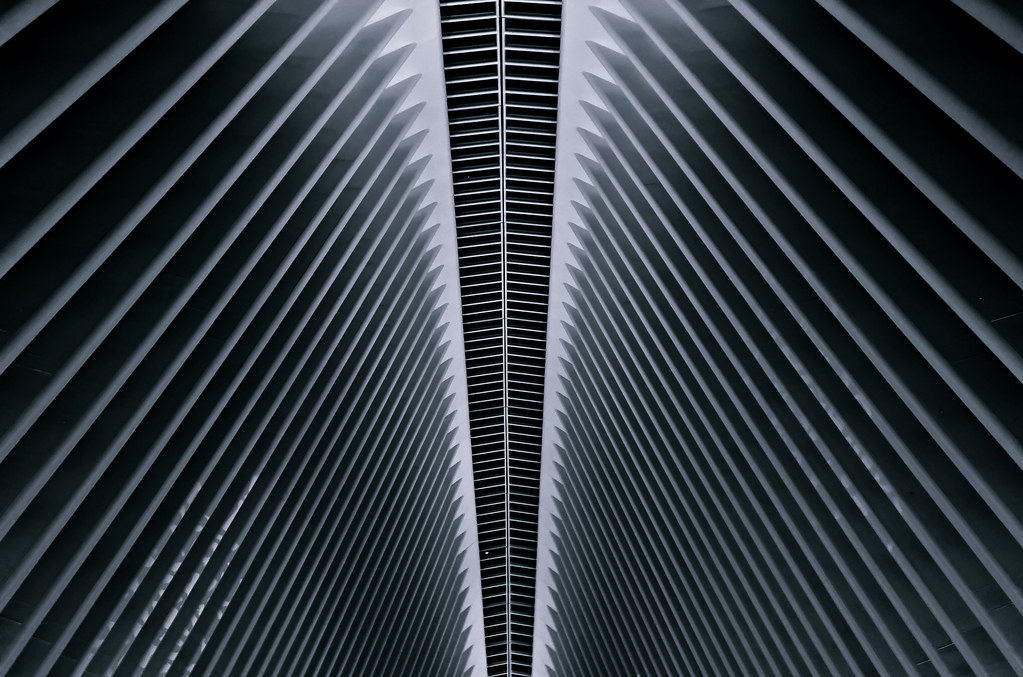 Eye to the sky (B&W) - Oculus, New York City