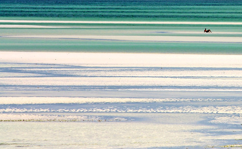 relaxing  Zanzibar sand by Zé Eduardo...