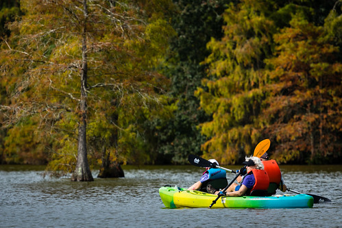 Trap Pond State Park in Sussex County, Delaware | by chesbayprogram