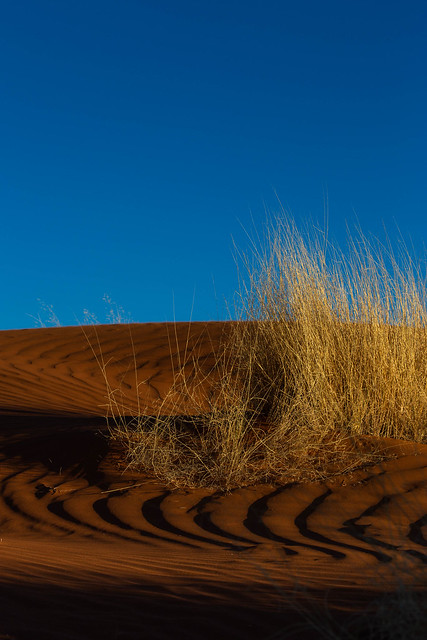 Near Dusk in the Dunes of Namib
