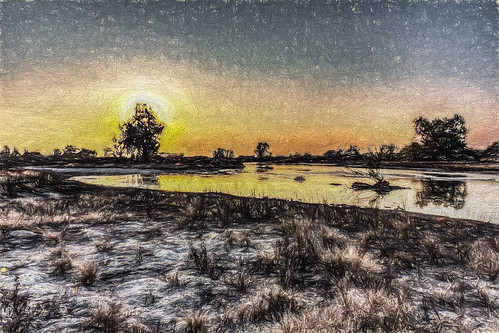 america california sunset sky usa plant reflection tree river painting unitedstates bakersfield kernriver kerncounty postedonflickr photosbydavid jfflickr postedong hdrphotography