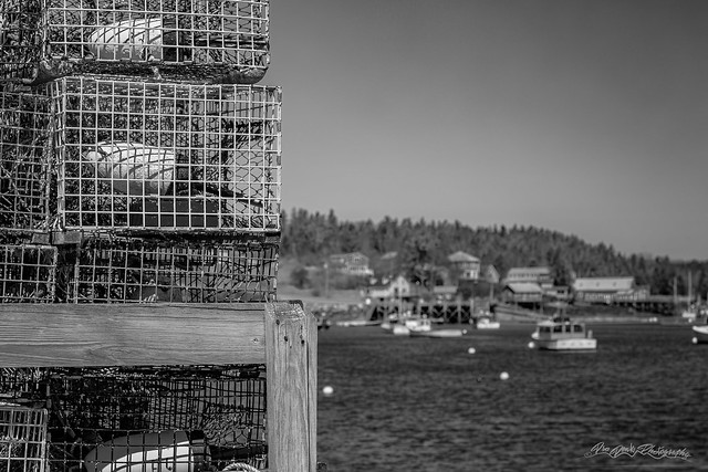 Bass Harbor Lobster Traps