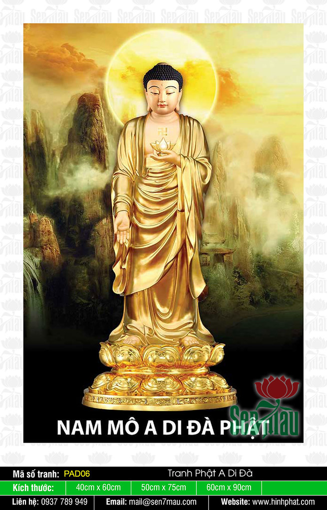 Ảnh A Di Đà Phật Đẹp PAD02