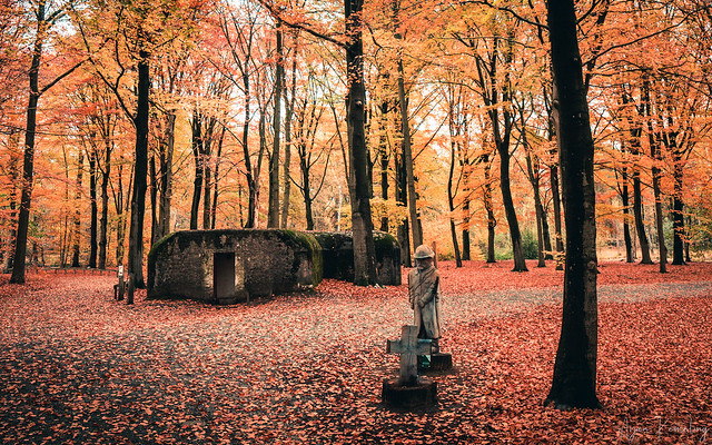 World War 2 bunker in the forest with orange yellow leafs during autumn