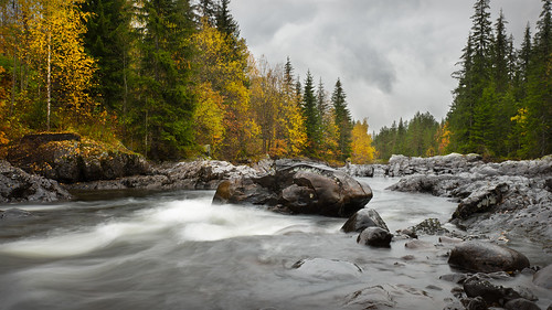 autumn etnedal forest norge norway valdres waterfall foliage høst landscape naturfoto public stream