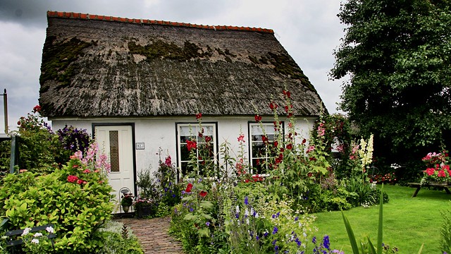 Romantic cottage in North Holland