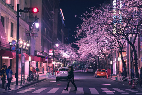 Nihonbashi Sakura - Tokyo, Japan | **PLEASE DO NOT POST TO Y… | Flickr