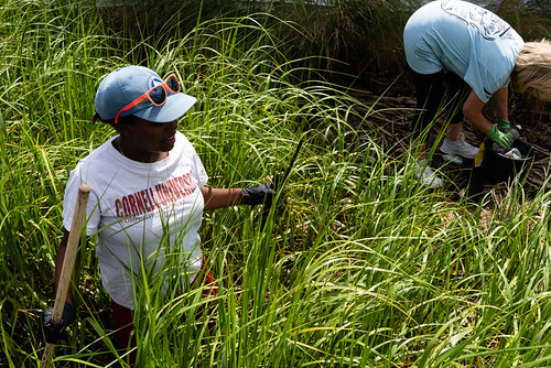 Chesapeake Bay debris cleanup in Anne Arundel County, Md. | by chesbayprogram