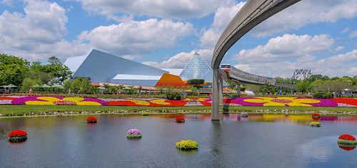 lake flowers colors colorful monorail epcotcenter epcot center orlando florida fl