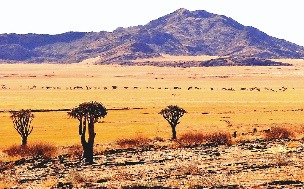 paysage de Namibie, Afrique désertique
