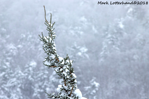 Top | by Lotterhand