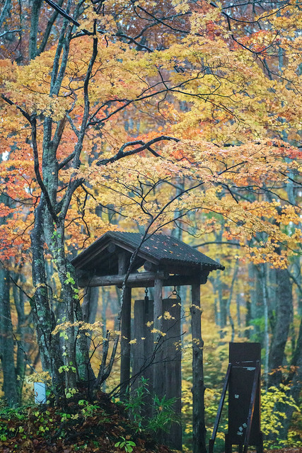 Autumn in Japan.