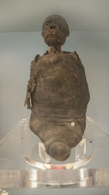 A monkey mummy at the Egyptian Museum of Cairo
