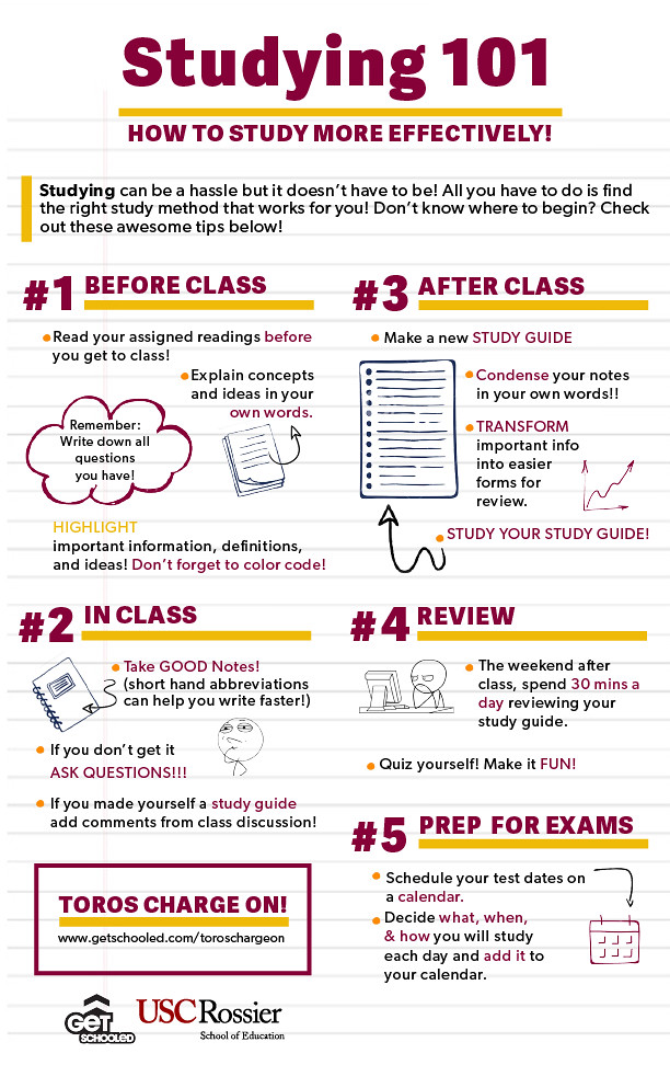 Studying 101 For Toros Infographic