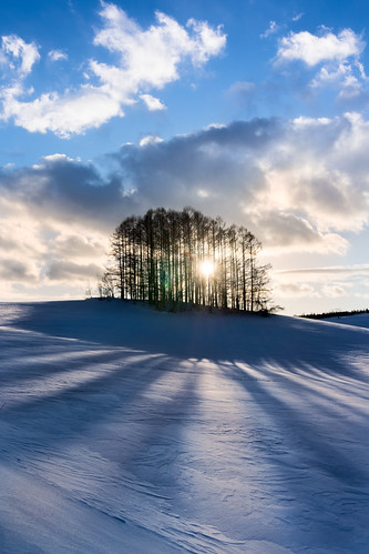 Sparkle by Deseree Joy, Mild Seven of Biei Hokkaido Japannex7 sony photography japan sunburst landscape winter 冬 mirrorless