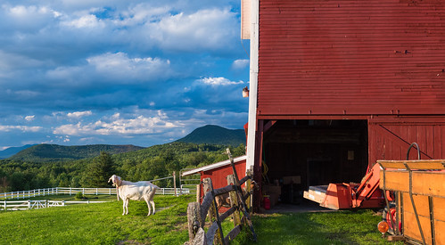 sunset waitsfield mountains outdoor tractor clouds mountainvalleyfarm goat vt vermont goats barn rural fence hills madrivervalley field unitedstates us