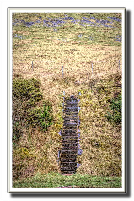 Old Stone Steps, Taff Fawr Valley, Brecon Beacons National Park, Powys, Wales UK