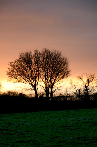 Devon sunrise by Dave_S., The sun rising on a January day in south Devondevon torbryan church weather window 13th century old