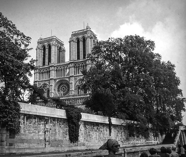 Notre Dame de Paris from Bateau Mouche - Coche D'Eau 9879-1