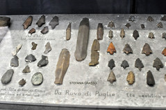 MUSEO LEONE VERCELLI