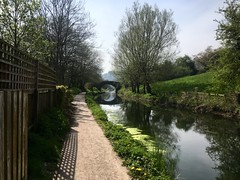 A walk along the canal at Stroud