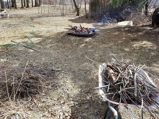 20190422.firepit.winter.branches