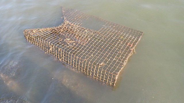Abandoned large fish trap at Punggol