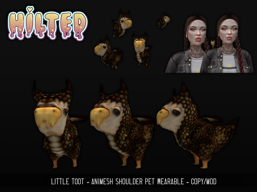 HILTED - Fantasy Faire - Little Toot Animesh Pet - TeleportHub.com Live!