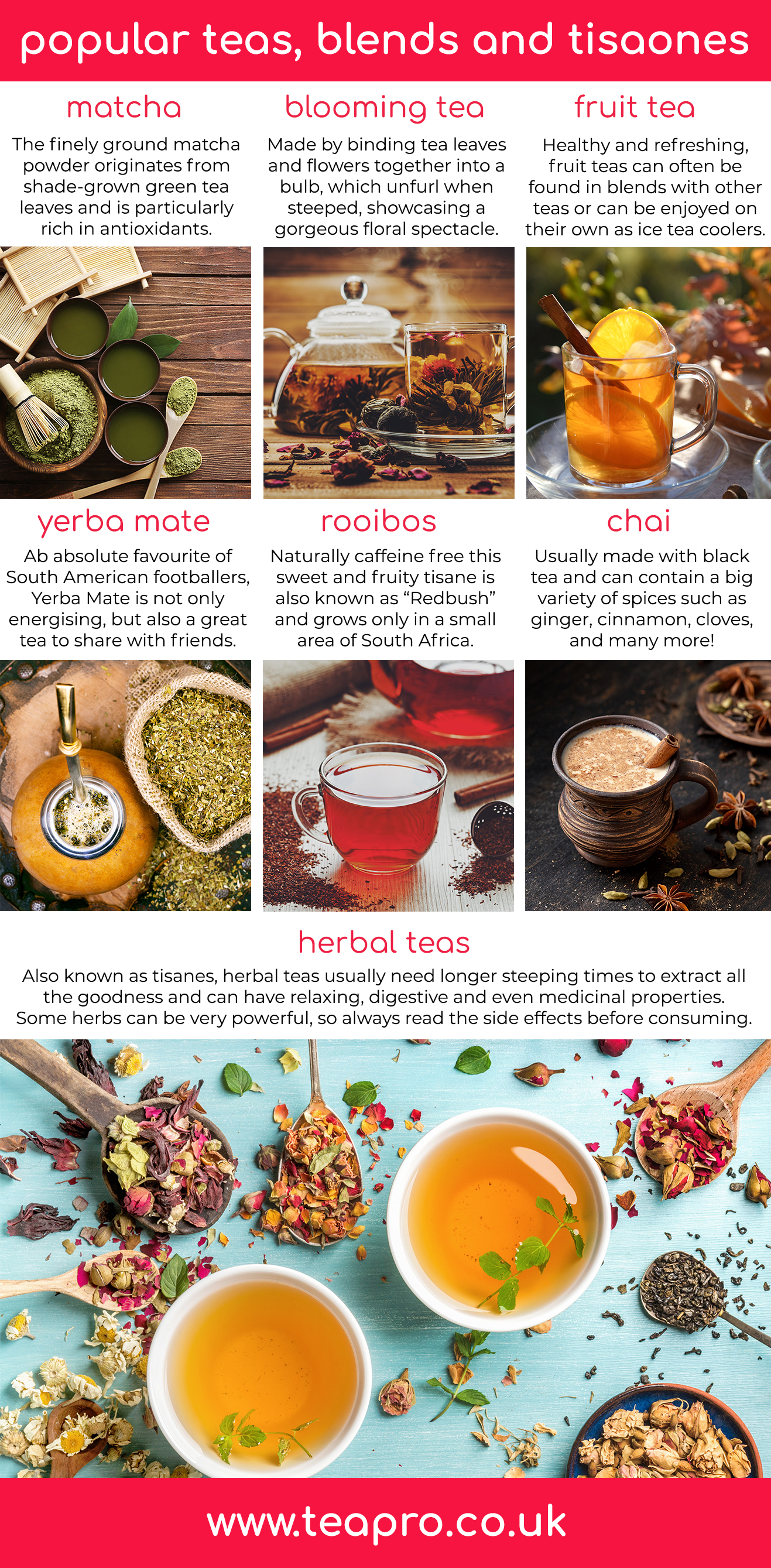 Teapro popular-teas-infographic