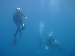 2012 Plongées club en mer, France,  Presqu'île de Giens