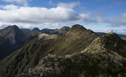 newzealand tramping hiking kahurangi doc arthur range tussock alpine tops cloud ridge