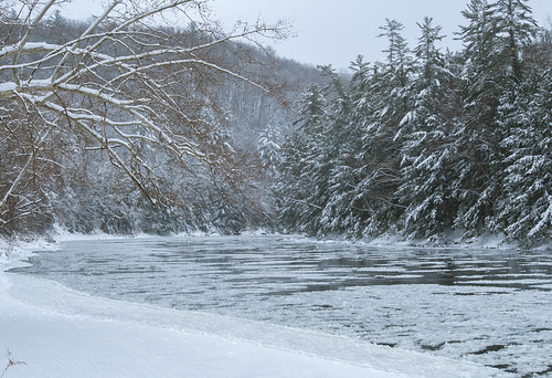 clarionriver d700 floes ice january nikon pa park pennsylvania river riverroad seasons sepan snow statepark trees water winter