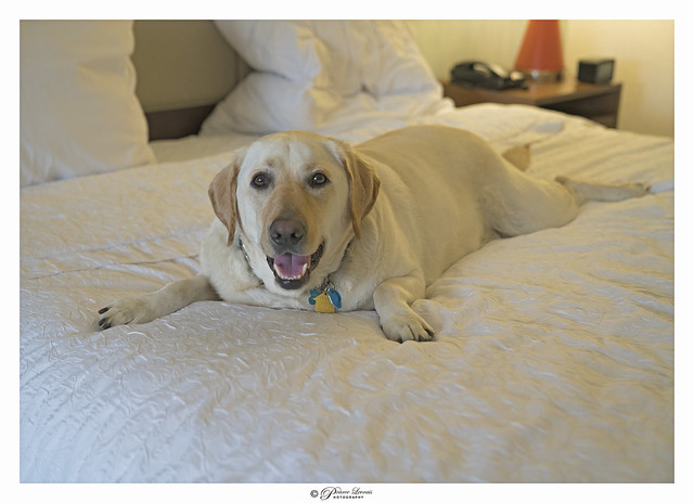 After a long day's travel and work, Austin relaxes on his hotel bed.