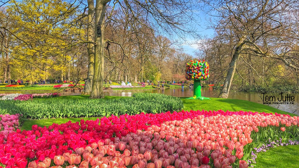 Art, Keukenhof Gardens, Lisse, Netherlands -  2395