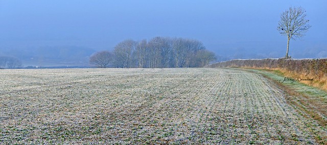 Winter Landscape 406-1 Panorama