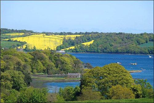 strangford lough castle ward northern ireland county down sony rx10iv sea green yellow blue