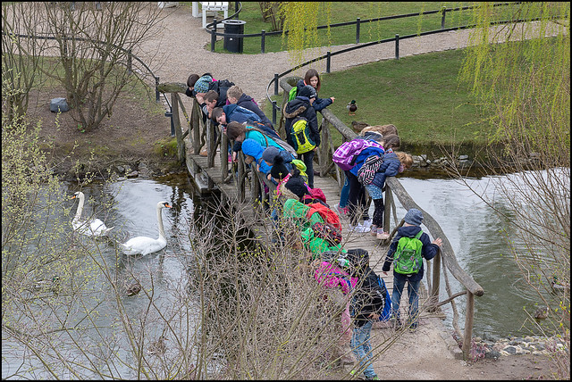 School Kids In The Palace Gardens | Schwerin, Germany